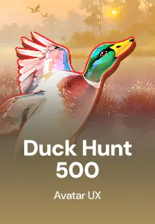 Duck Hunt 500