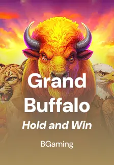 Grand Buffalo Hold and Win
